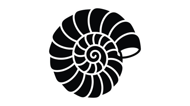nautilus shell silhouette on white background spiral marine creature fossil nature black