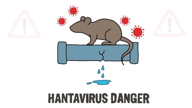 Hanta Virus Danger Warning with Rat and Infection Icons