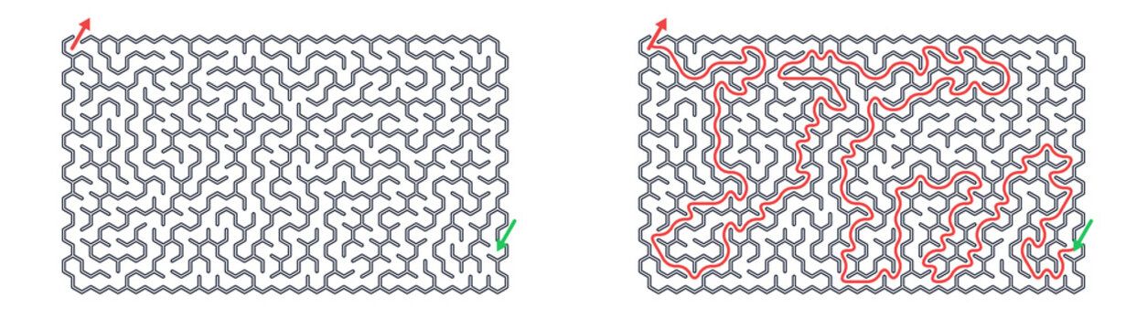 Maze pattern with pathways and complexity in a grid design  