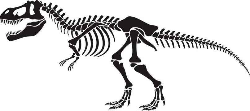 Tyrannosaurus Rex Skeleton Illustration
