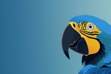Obraz premium Parrot animal bird beak.