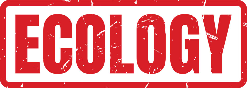 A red grunge style rectangular rubber stamp with the word ecology written inside of box