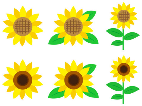 ヒマワリの花のイラスト素材セット4