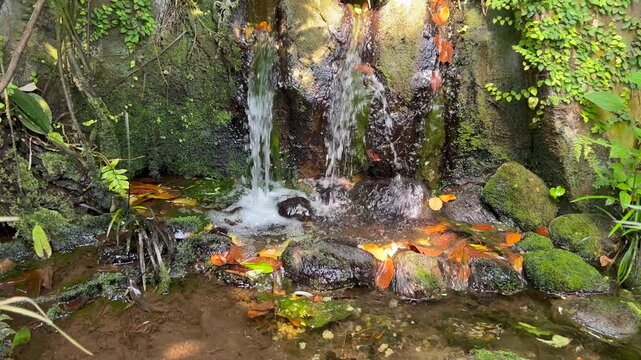 Small waterfall with rocks