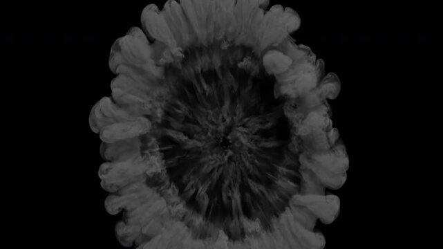 Circular gray smoke shockwave explosion expanding outwards on a black background.