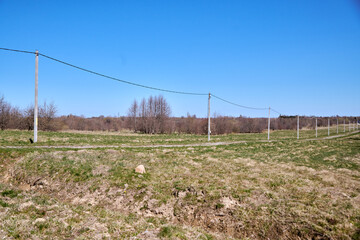 Fototapeta premium Rural landscape with electrical poles extending through grassy field under clear blue sky