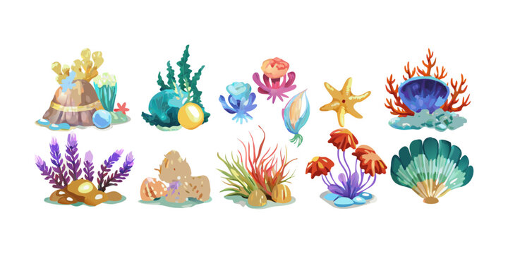 Colorful underwater coral reef and sea shell collection, vector
