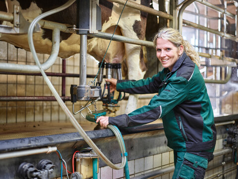 Portrait of smiling female farmer in stable milking a cow