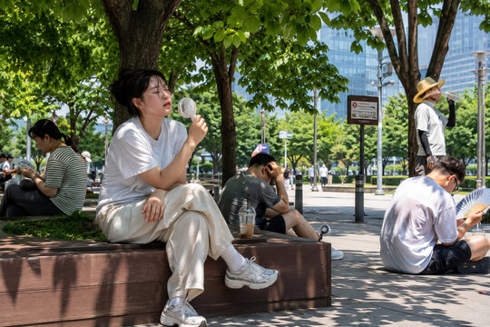 폭염을 피해 나무 그늘 아래 모인 도시 사람들
Urban People Seeking Shade During Extreme Summer Heat