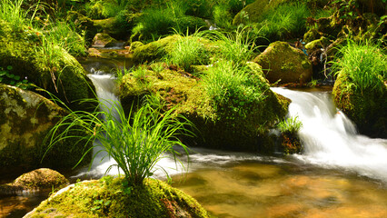 Spring days and a stream flowing through the greenery on the Camino de Santiago © Delfim Sa Neiva
