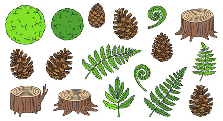 Forest Elements Collection: Pine Cones, Ferns, Tree Stumps, and Greenery © Andri
