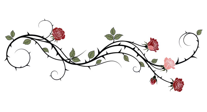 Elegant Rose Vine with Thorns - Decorative Floral Element
