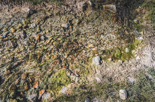 The texture of a mountain stream, clear water flowing over earth and rocks in sunlight, for background