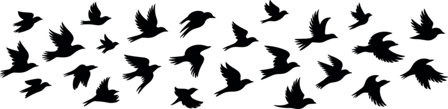 Flock of flying birds black silhouettes vector collection featuring migrating swallows and sparrows isolated on white background