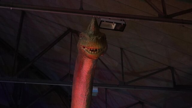 Dinosaur Brachiosaurus face head animatronic moving animal prehistoric zoom