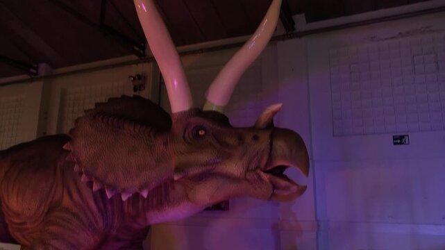 Dinosaur Triceratops head beak eye horns spikes animatronic moving animal