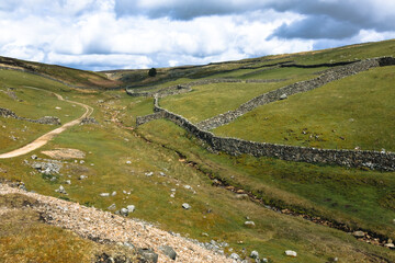 Traditional dry stone walls wind across the rolling green hills and livestock pastures of a classic upland valley landscape within the scenic Yorkshire Dales National Park, North Yorkshire, UK. © Matthew