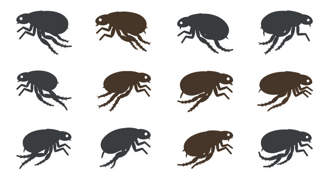 A collection of flea illustrations in various shades of brown and black.