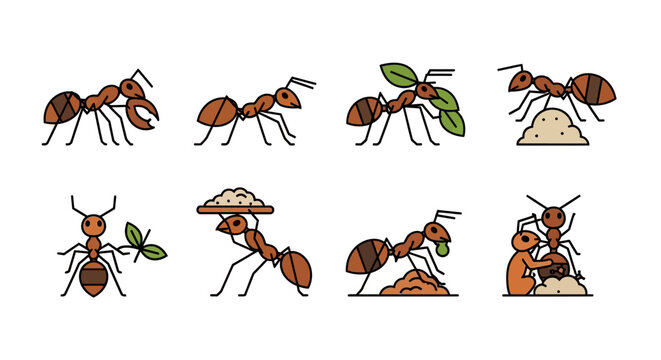 Collection of various ant species in different poses and activities.