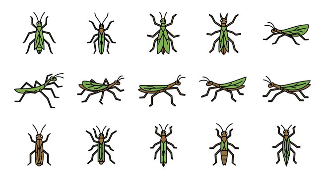 Diverse Collection of Stick Insects and Grasshoppers in Various Poses.