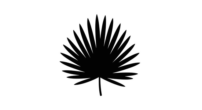 Silhouette of a palm leaf.