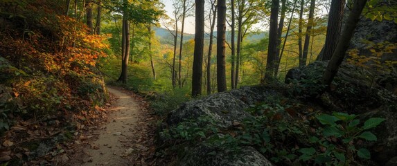 Obraz premium Forest pathway lined with rugged rock gardens in a mountainous Appalachian region