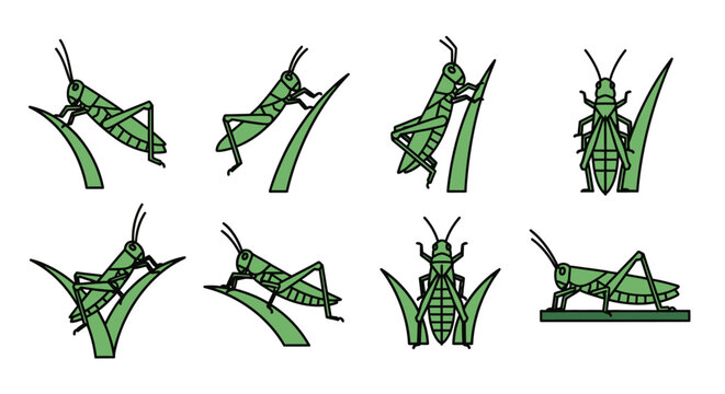 Set of eight green grasshoppers in various poses on blades of grass.
