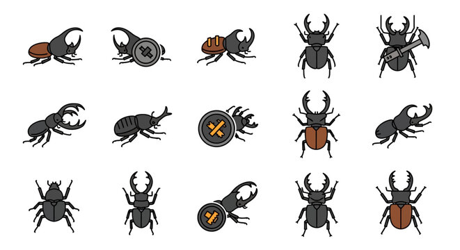Stag Beetle Collection - Detailed Illustrations of Various Beetle Species and Their Unique Characteristics.