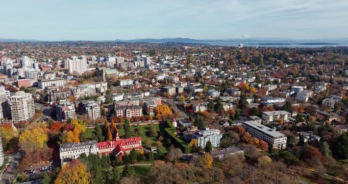 Aerial shot of Beacon Hill park in Victoria Canada BC. Wildlife trees, colorful leaves and water fountain, bridge and pond with beautiful weather walk in the city center