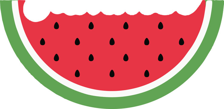 A slice of ripe watermelon fruit.
