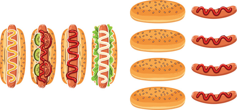 Gourmet hot dog builder vector illustration set featuring fully assembled hotdogs along with separate sesame buns grilled sausages mustard and ketchup toppings isolated on white.