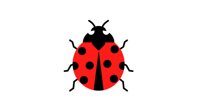 Vibrant red ladybug isolated on white background minimalist illustration