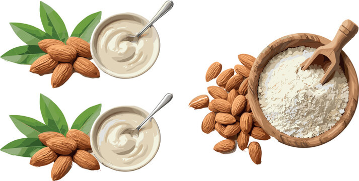 Organic almond flour in wooden bowl with scoop raw whole nuts and creamy yogurt dairy alternative vector illustration isolated on white background for gluten free healthy food design