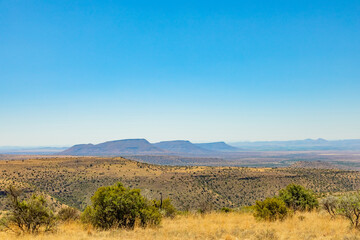Naklejka premium View of arid landscape in a wildlife conservation