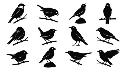 Collection of detailed black bird silhouettes perched on branches isolated on a clean white background