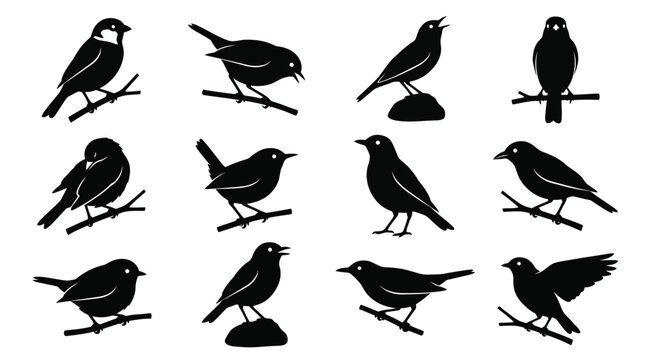 Collection of detailed black bird silhouettes perched on branches isolated on a clean white background