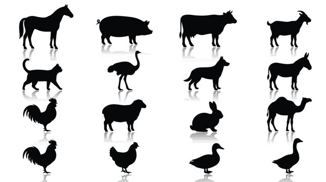 Collection of various farm and domestic animal silhouettes displayed in a clean black and white set