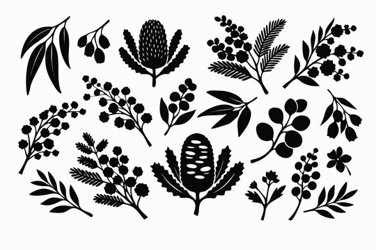 Elegant Hand Drawn Australian Native Botanical Leavesand Flowers Silhouettes Vetor Illustration Set for Nture Inspired Design Projets Wedding Invitations andOrganic Product Branding Eements
