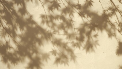 Fototapeta premium Diagonal shadows from tree leaves on beige wall creating textured abstract background with copy space
