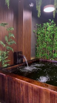 tropical spa interior with hydrotherapy jacuzzi pool
