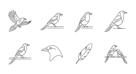 Fototapeta premium Line art bird collection diverse poses depicting flight and perch actions