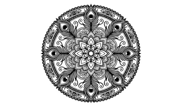 Intricate circular mandala ornament with peacock feather patterns vector