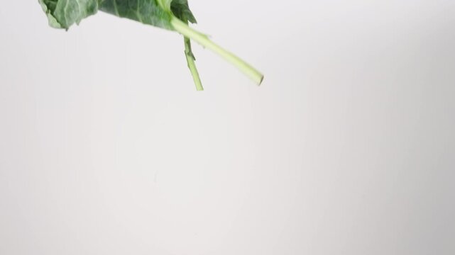 Southern soul food Collard Green Leaves raining down on a white backdrop in slow motion close up macro.