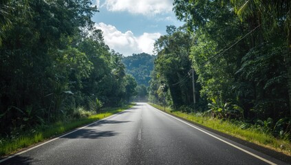 Empty paved road in the middle of thriving tropical green forest area