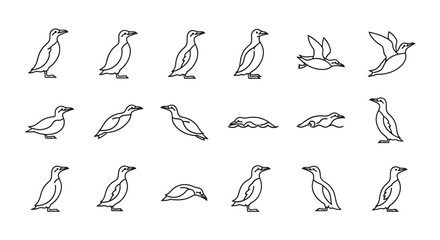 Obraz premium Graphic illustration of diverse penguin postures and activities in vector form
