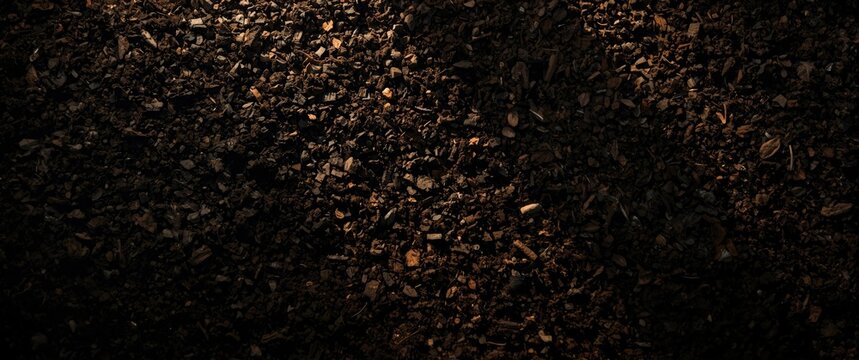 dark soil surface with high key lighting and detailed texture backdrop copy space