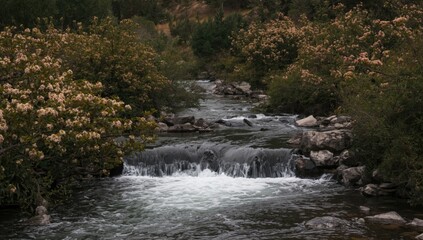 Fototapeta premium Flowing river integrated with flowering vegetation in a pristine outdoor location