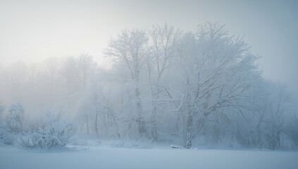 Fototapeta premium Early morning snow blanketed forest portraying peaceful and serene winter nature