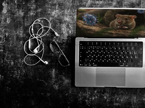 Laptop showing rodent and virus illustration.