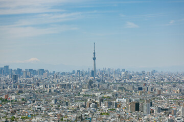 Obraz premium 千葉県市川市から見た東京都心の風景